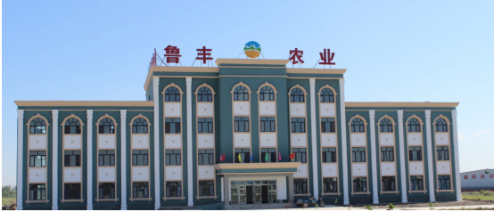 新疆鲁丰农业科技发展有限公司