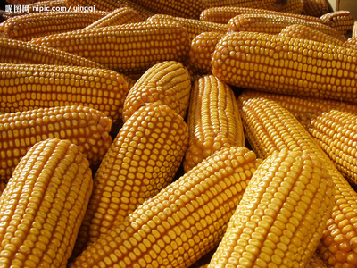 全国春耕备耕有序展开 各地综合施策夯实全年粮食丰收基础