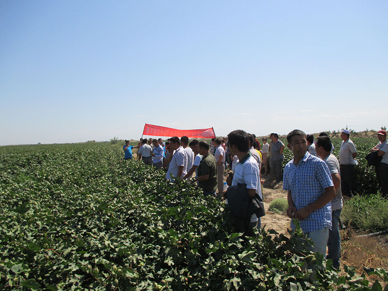 北疆分公司观摩会现场